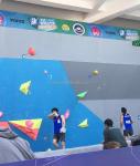1740g Screw on Set Amusement Park Climbing Wall Kids Rock Climbing Holds for