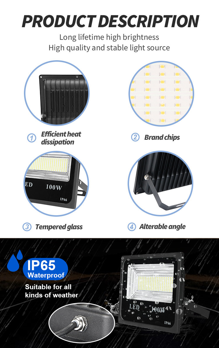 Marine Dimmable Smart RGB LED Floodlight 10W 30W 50W 200W Projector LED Flood Lamp