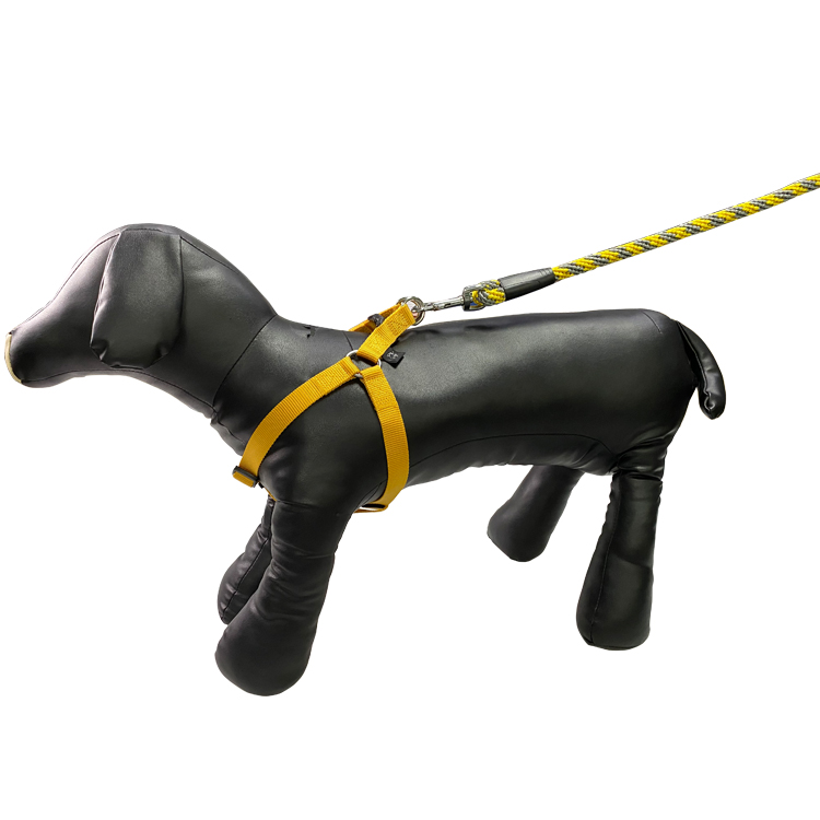 Custom Polyester Pet Traction Rope Metal Clips Double Dog Leash