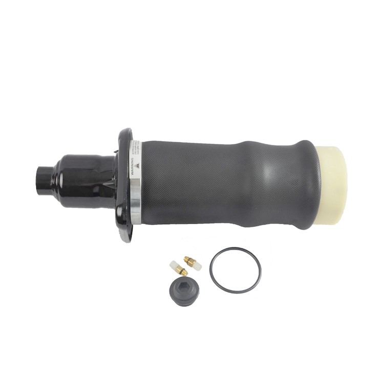 OE 4Z7616051A Air Suspension Shock Absorbers For Audi A6 C5 Rear Left And Right