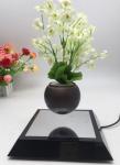 square mirror base magnetic floating levitate air bonsai flower plant