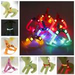 Adjustable Buckle Reflective Nylon XS Dog Harness