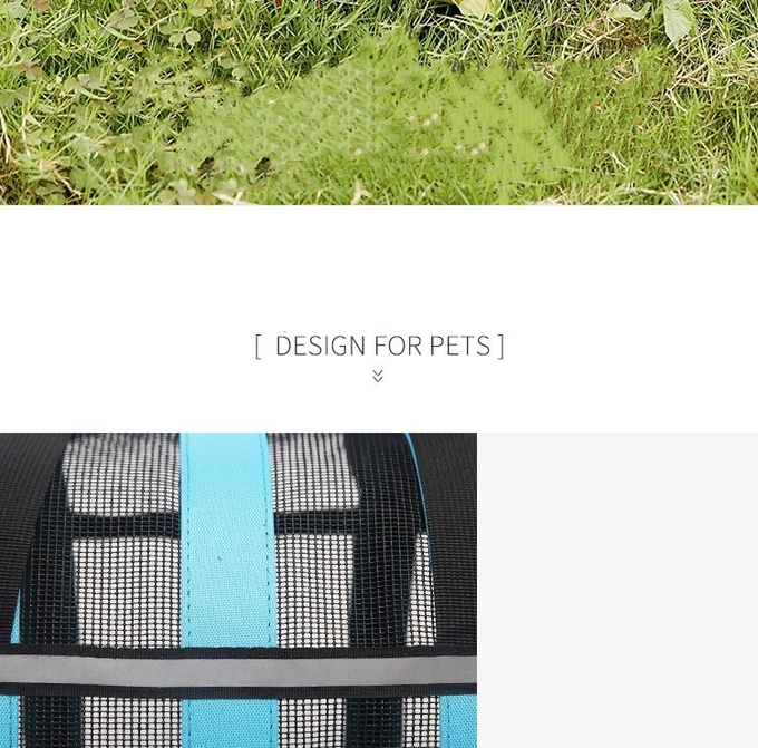 Dog And Cat Portable Handbag With Breathable Mesh On Four Sides Foldable Pet Cage