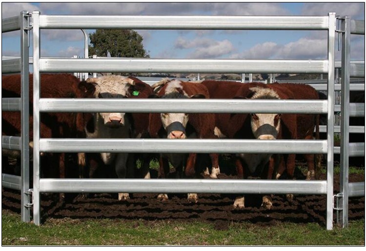 Heavy duty galvanized livestock cattle panel used corral panels