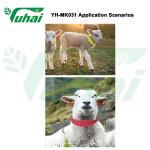 Colorful Livestock Bands 59x4cm PU Material Goat Collar For Identification