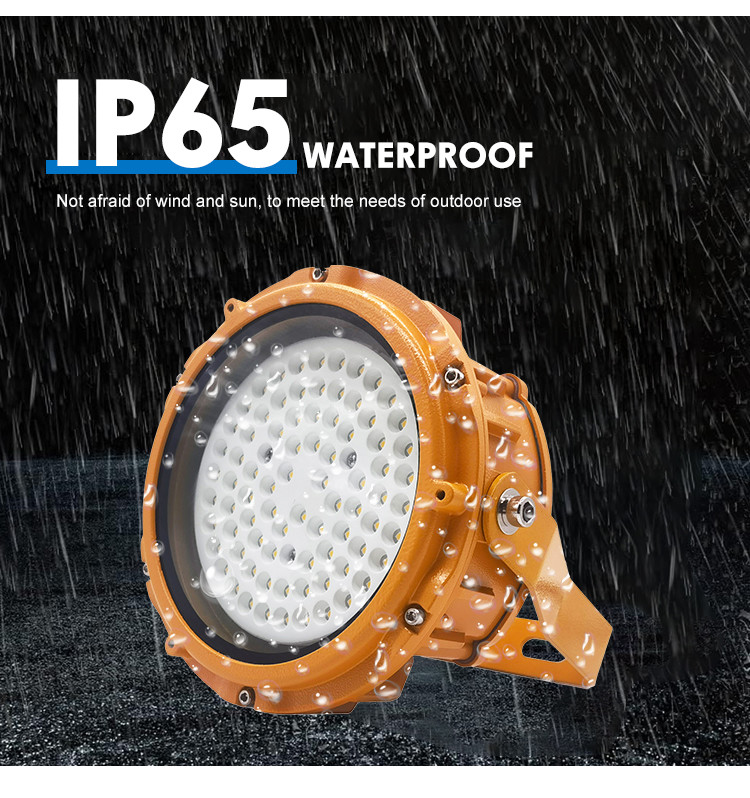 Waterproof IP65 Industrial Explosion Proof Lighting Fixtures Flood Light AC85-265V/ 50Hz 60Hz