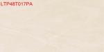 Porcelian Polished Indoor Porcelain Tiles Absorption Rate Less Than 0.05%