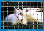 1/2" X 1/2" X 36" X 30m Welded Wire Dog Fence , Galvanised Welded Wire Mesh 22