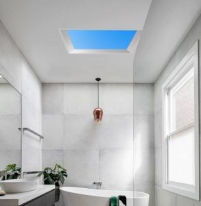 Wholesale Topsung blue sky cloud commercial led panel light 2*2 FT 600*600mm Hall hospital sanatorium from china suppliers
